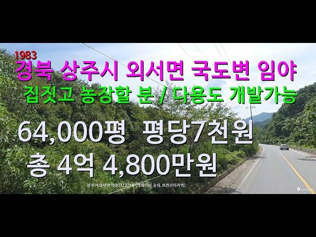 [번호 1983}경북 상주시에서 가장 싼 국도변 임야