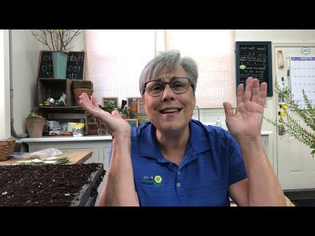 Lisa Live Replay: Starting sunflowers, talking cover crops, and Cool Flowers