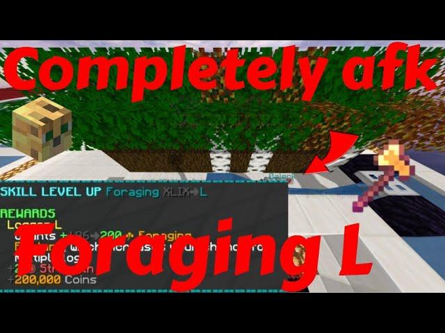 The FASTEST Way To Get Foraging XP in Hypixel Skyblock!