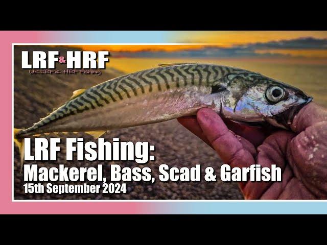 LRF Fishing: Mackerel Fishing in Devon
