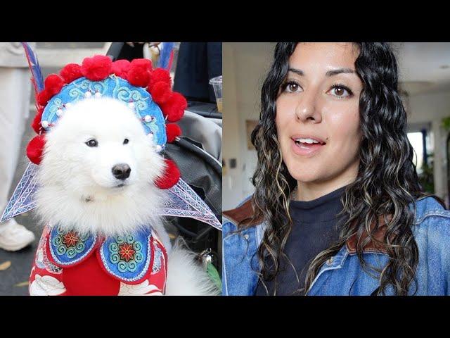 A dog parade, dating, & existential dread, an NYC vlog