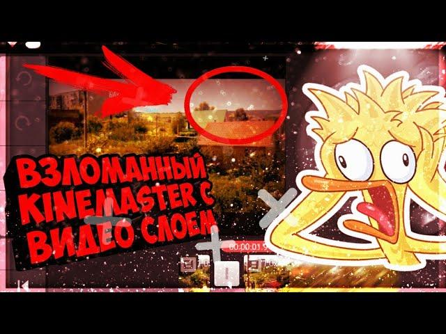 ВЗЛОМАННЫЙ KineMaster С ОТКРЫТЫМ ВИДЕО СЛОЕМ