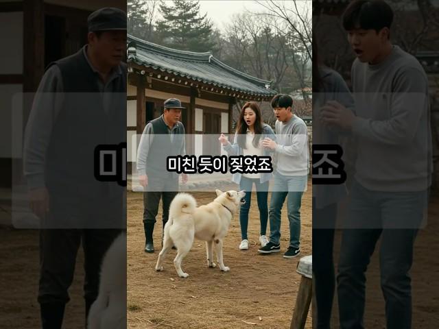 백구가 며느리에게 미친 듯이 짖은 이유!