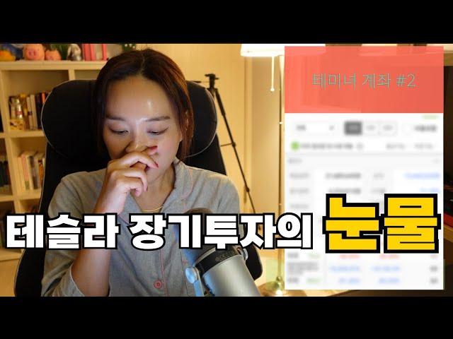 3년 전 테슬라주식에 3억을 올인한 유튜버의 근황 (ft.계좌공개)