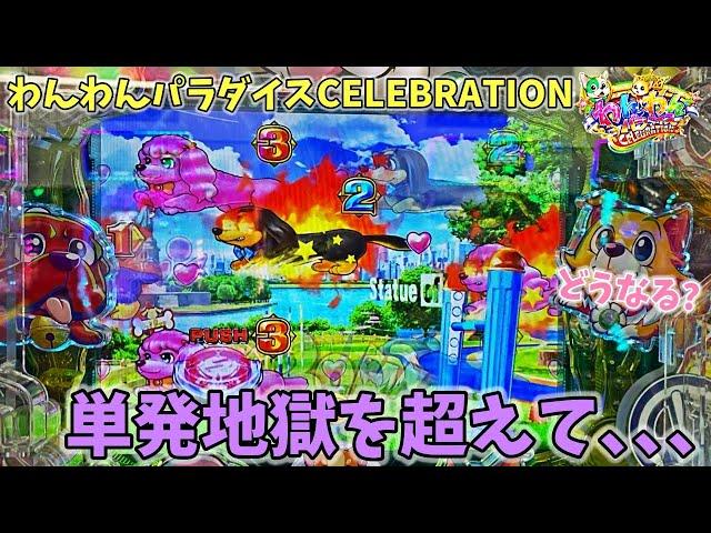 新台 PAわんわんパラダイスCELEBRATION 単発地獄を超えてようやく遊タイム突入！？どうなる？ ヒゲパチ 第1898話 甘デジ 海物語