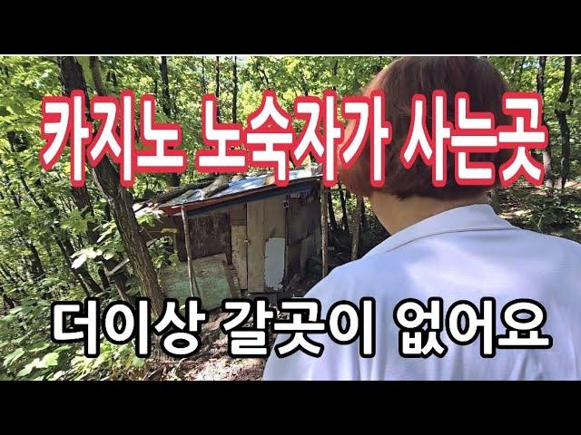 카지노 노숙자의 마지막 안식처 사람이 살곳이 못되는곳