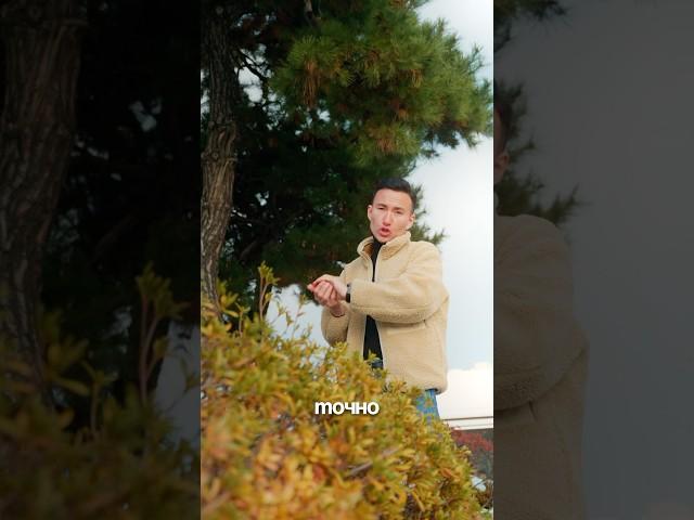 Актуальные цены на авто в Корее | доступные кроссоверы #автоизкореи #авто #автообзор #корея #бизнес