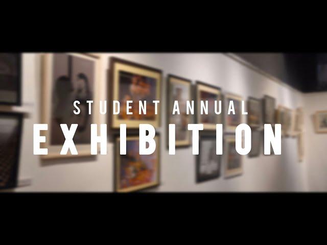 Student Annual Exhibition of RBU  ️2025 till 24 th March at Academy of fine arts 