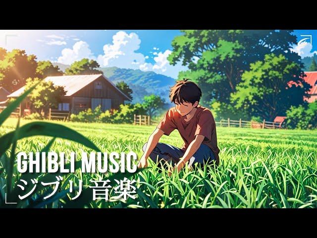 【Positive Ghibli Piano】 Ghibli music brings positive energy