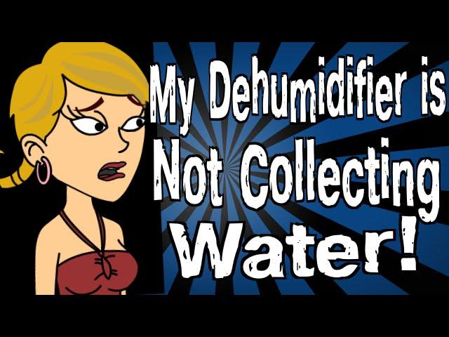 My Dehumidifier is Not Collecting Water!