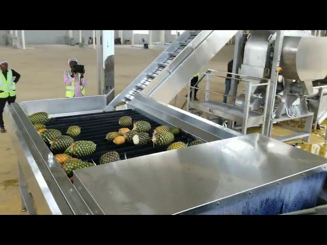 Pineapple juice processing line