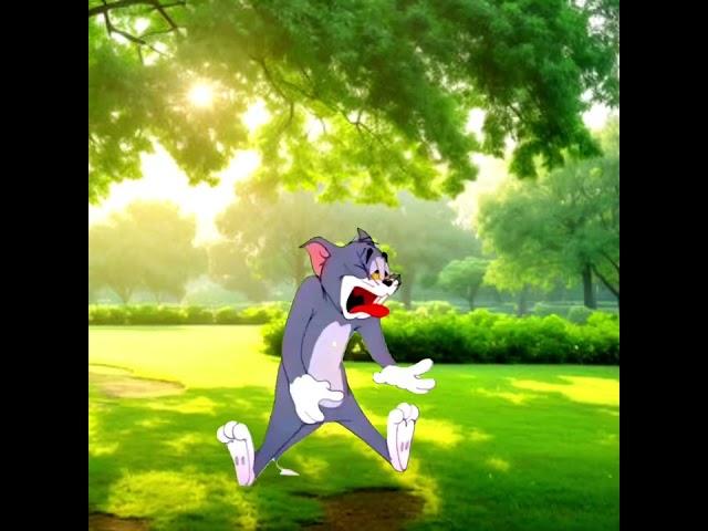 tom and jerry | new tom and jerry