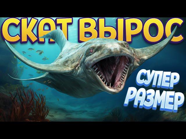 СКАТ ПЕРЕРОСТОК ( Feed and Grow: Fish )