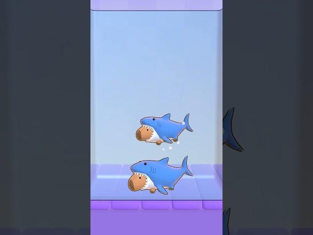 Capybara goes up!