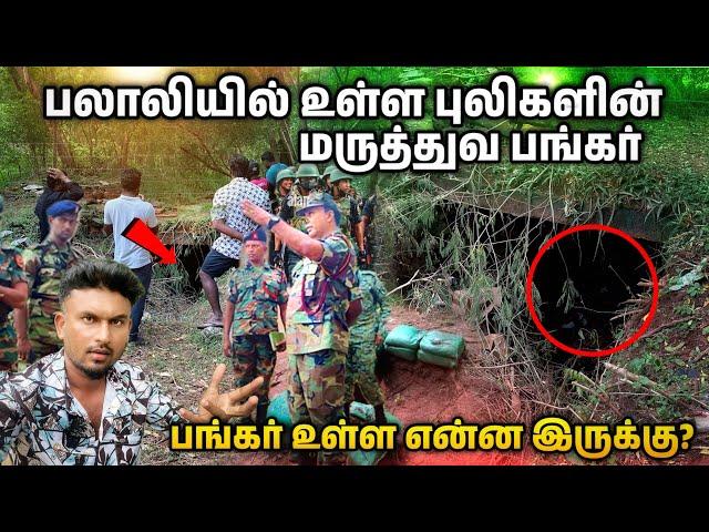 பலாலியில் விடுதலை புலிகளின் மர்ம பதுங்கு குழி