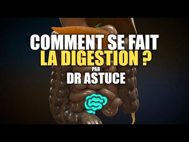  La Physiologie Digestive Expliquée Très Clairement par Dr Astuce