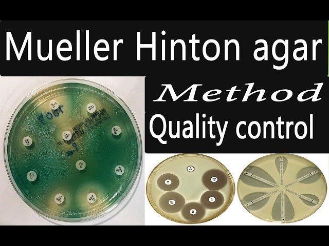 preparation of culture media:Mueller Hinton agar (easy method)