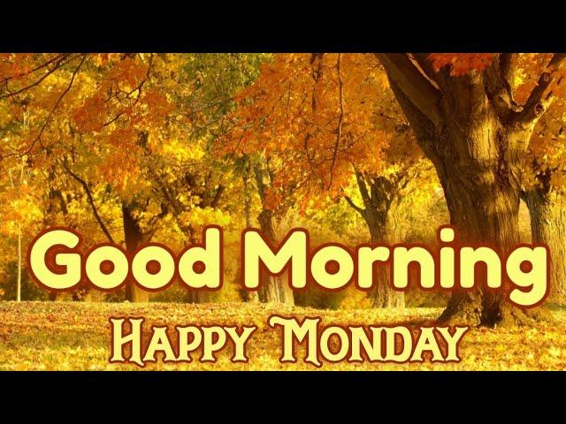 Good morning monday photos  !! Good morning monday #good morning