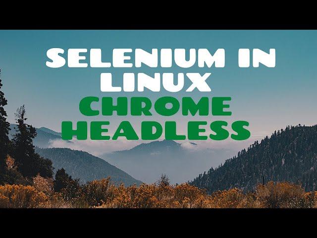 How to run selenium cases in linux server using Chrome Browser in Headless Mode