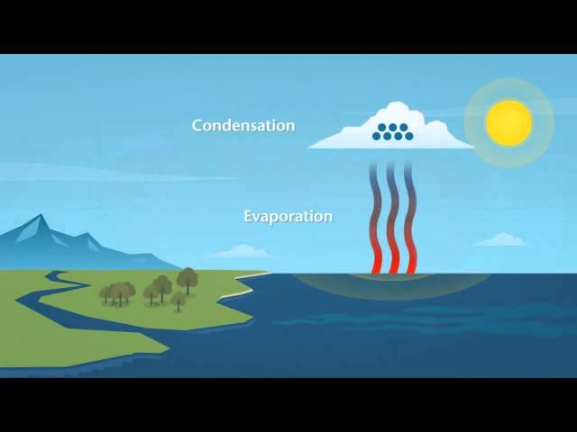 How does rain form and what is the water cycle?