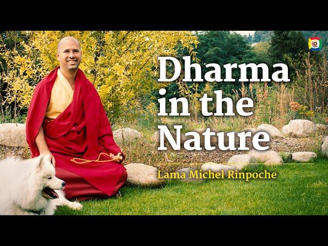 4/6 Dharma in the Nature with Lama Michel Rinpoche