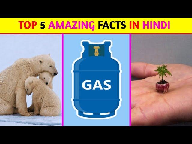 Top 5 Amazing Facts In Hindi | Mind Blowing Facts | Random Facts | Facts In Hindi | #shorts