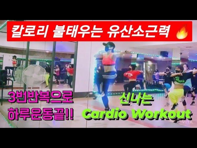 Bokko Cardio 신나는 클럽음악X 유산소 근력Aerobic Cardio Workout집에서도함께해요