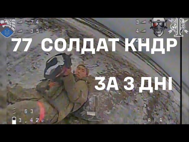 ССО знищують війська КНДР / Ukrainian SOF destroys DPRK soldiers