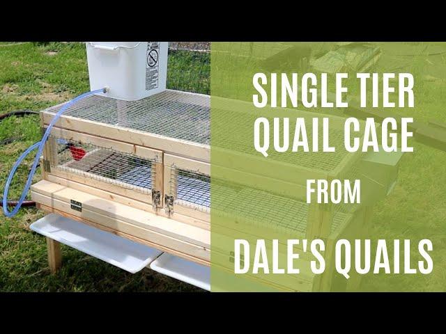 Single Tier Quail Cage from Dale's Quails