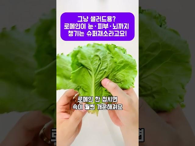 그냥 샐러드용? 로메인이 눈·피부·뇌까지 챙기는 슈퍼채소라고요! #로메인 #로메인효능 #슈퍼푸드