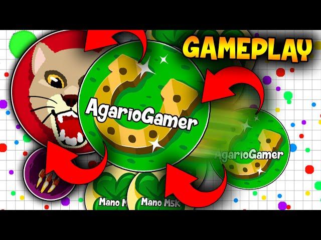 Lagar.io Gameplay ft M5k Voz Ativa!!!