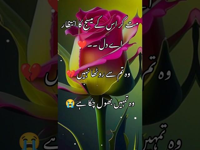 mat Kar uske message ka intezar Hai Dil #viral#poetry #youtubeshorts#sadpoetry #urduloverspoetry