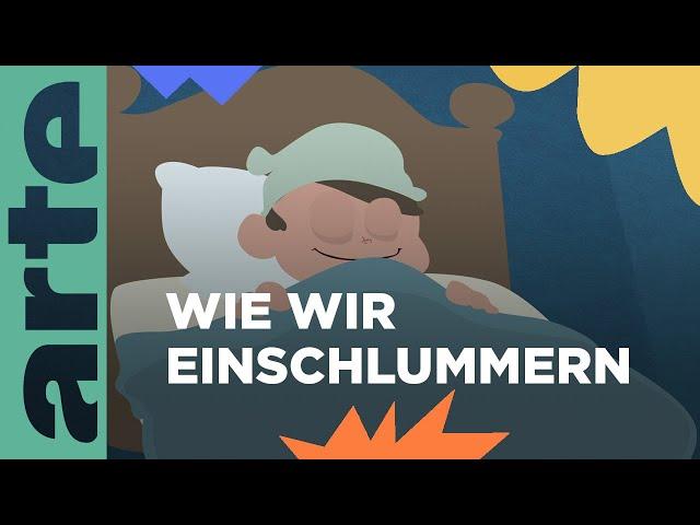 Warum merken wir nicht, wann genau wir einschlafen? | Eure Fragen | ARTE Family