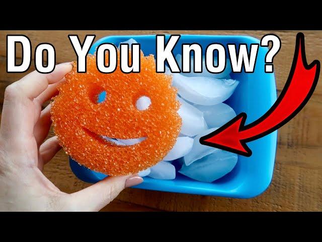 30+ *VIRAL* SCRUB DADDY SECRETS!   Miracle Cleaning Hacks for Your Entire Home (Shark Tank Genius)