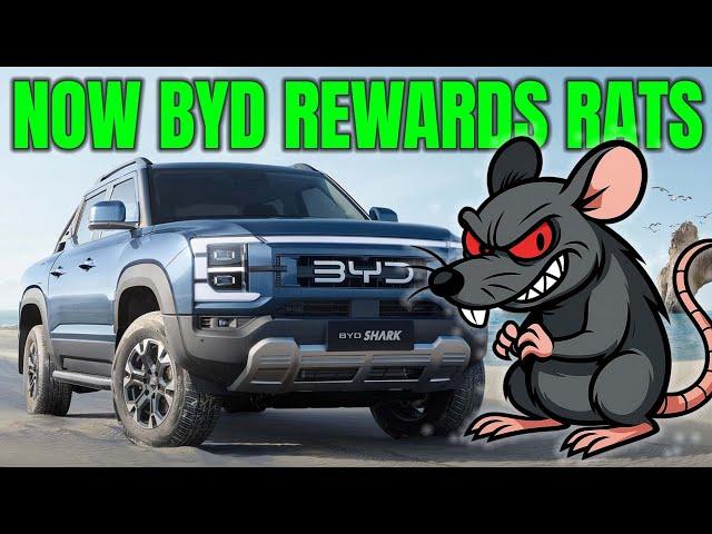 BYD is rewarding rats & snitches now | Auto Expert John Cadogan