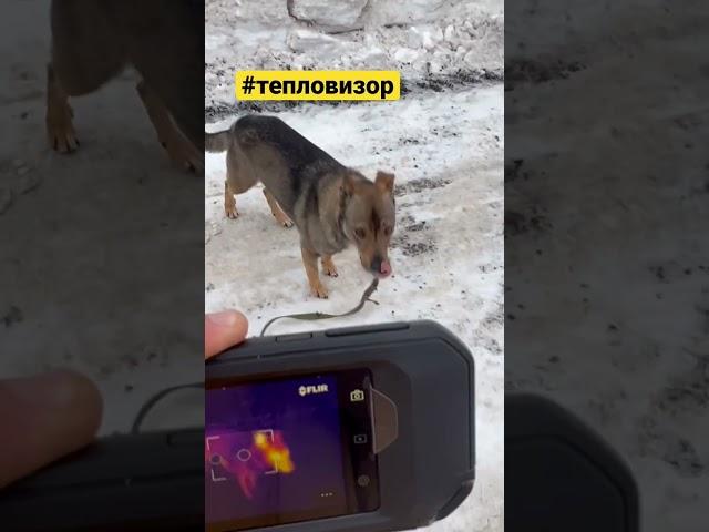 Что отображает #тепловизор?!! #осмотр #проф #приемка #москва https://www.profpriemka.moscow