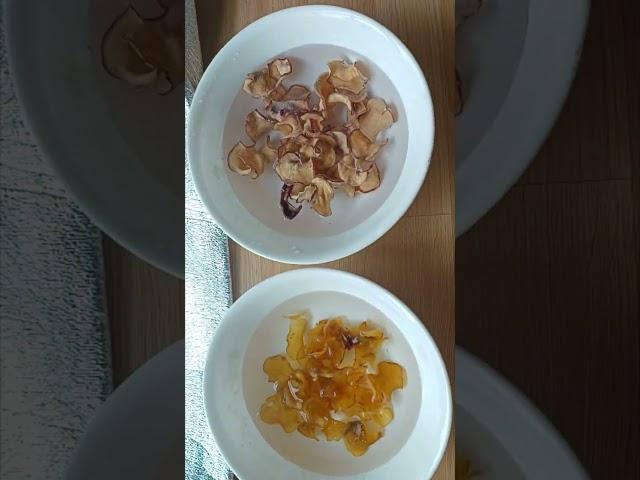 생감자 그만드시고 이제 이렇게 드세요 (1년이 넘어도 맛있네요)
