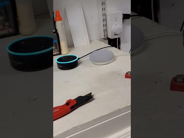 Alexa Meets Google