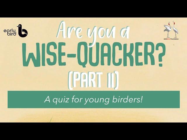 Are you a Wise Quacker? | A quiz for beginner birders PART 2