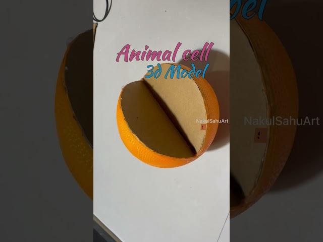 animal cell model #science #shorts biology project NakulSahuArt