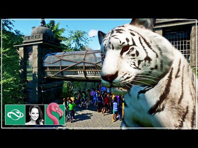  Building a White Bengal Tiger Temple Habitat with Overpass | Planet Zoo Franchise Mode
