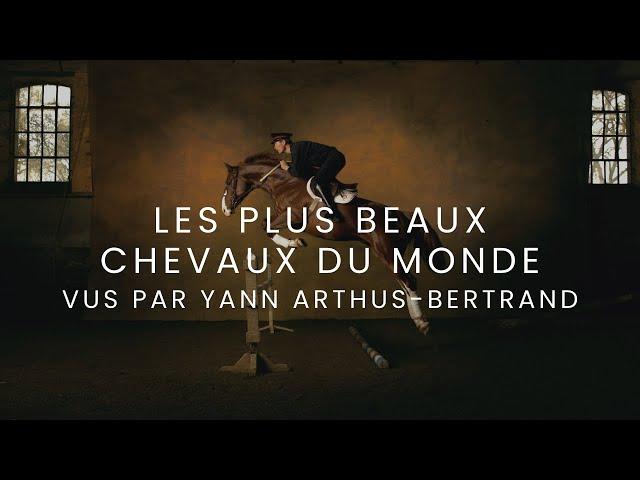 LES PLUS BEAUX CHEVAUX DU MONDE VUS PAR YANN ARTHUS BERTRAND [FR] Film complet