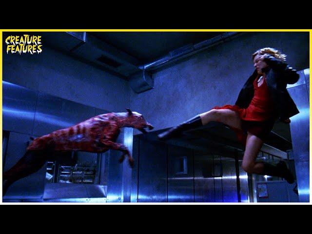 Alice Is Attacked By Mutant Dogs | Resident Evil (2002) | Creature Features