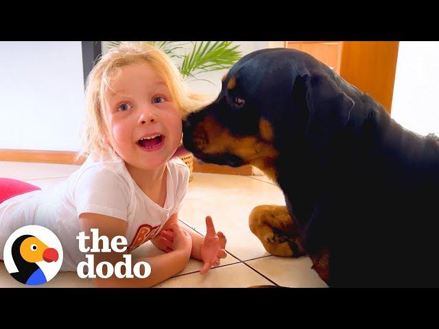 Rottweilers May Cause Excessive Smiles and Giggles  | The Dodo