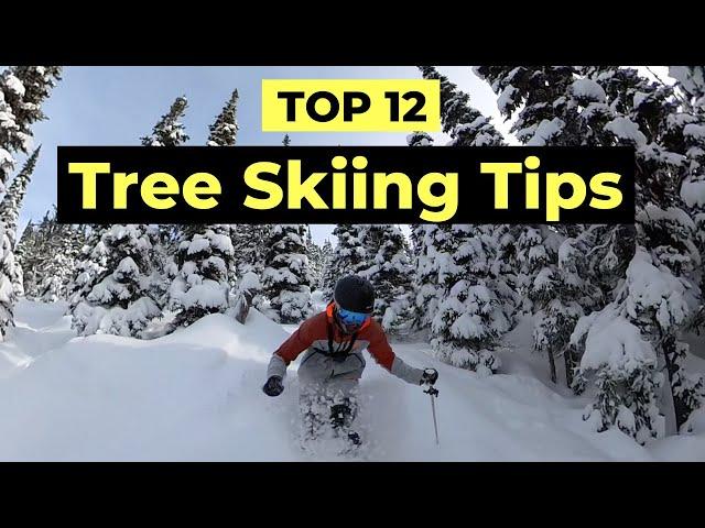 How To Ski Trees - 12 Tips To Improve Your Tree Skiing