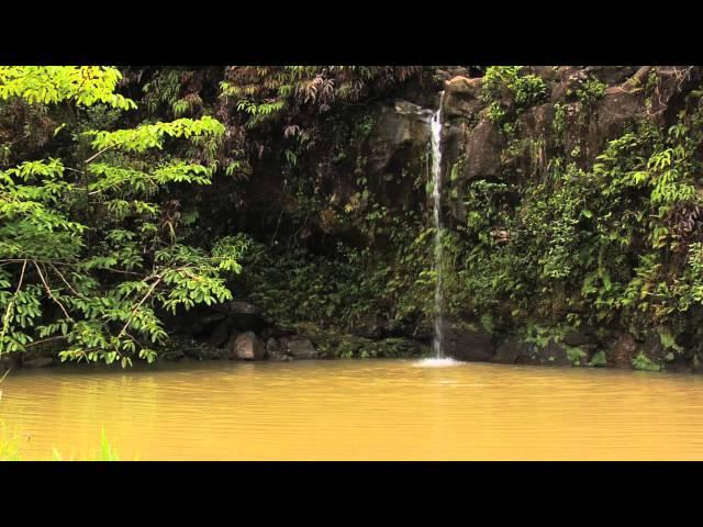 Aloha From Maui - "Pau'a Ka'a Falls"