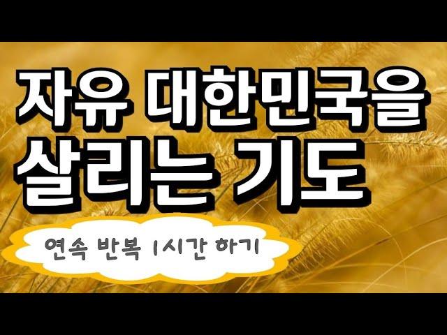 [긴급 중보기도] "위기의 나라를 살리는 기도  - 1시간 연속 반복 적으로 하기"