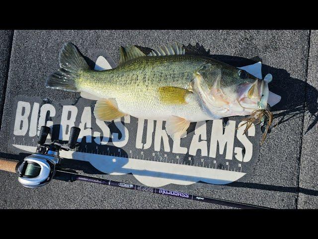 NEW Lews Reels St Croix Rods Douglas Rods Breakdowns - Oliver Ngy's 2024 Bass Fishing setups