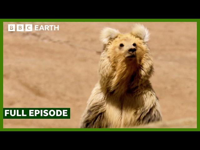 China's Most Beautiful Landscapes | Full Episode | BBC Earth