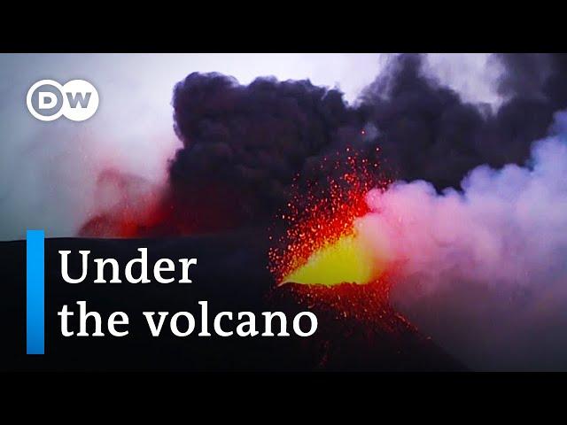 Spain: Eruption on the island of La Palma | DW Documentary